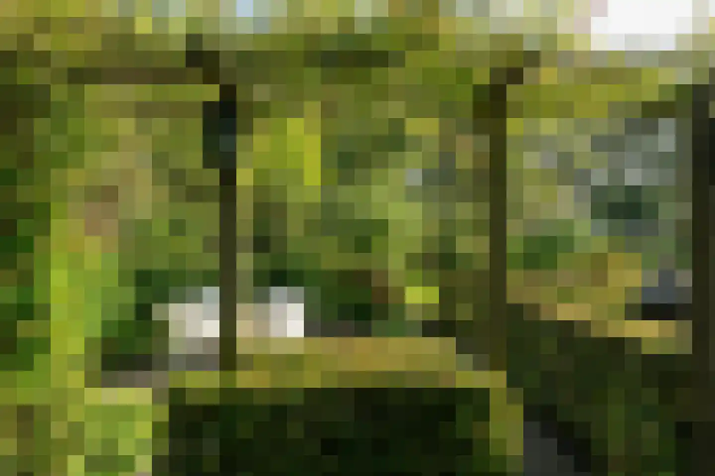Staniastate 40 Leeuwarden thumbnail 32