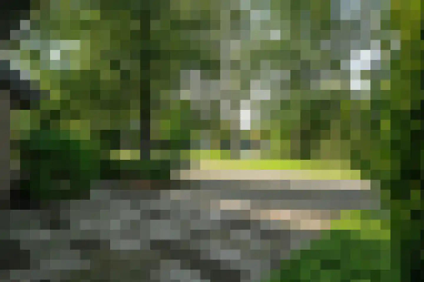 Staniastate 40 Leeuwarden thumbnail 67