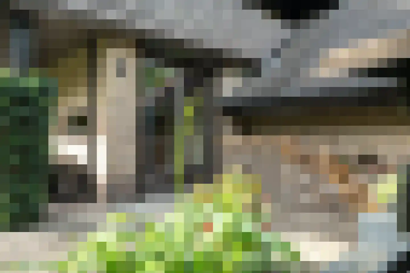 Staniastate 40 Leeuwarden thumbnail 70