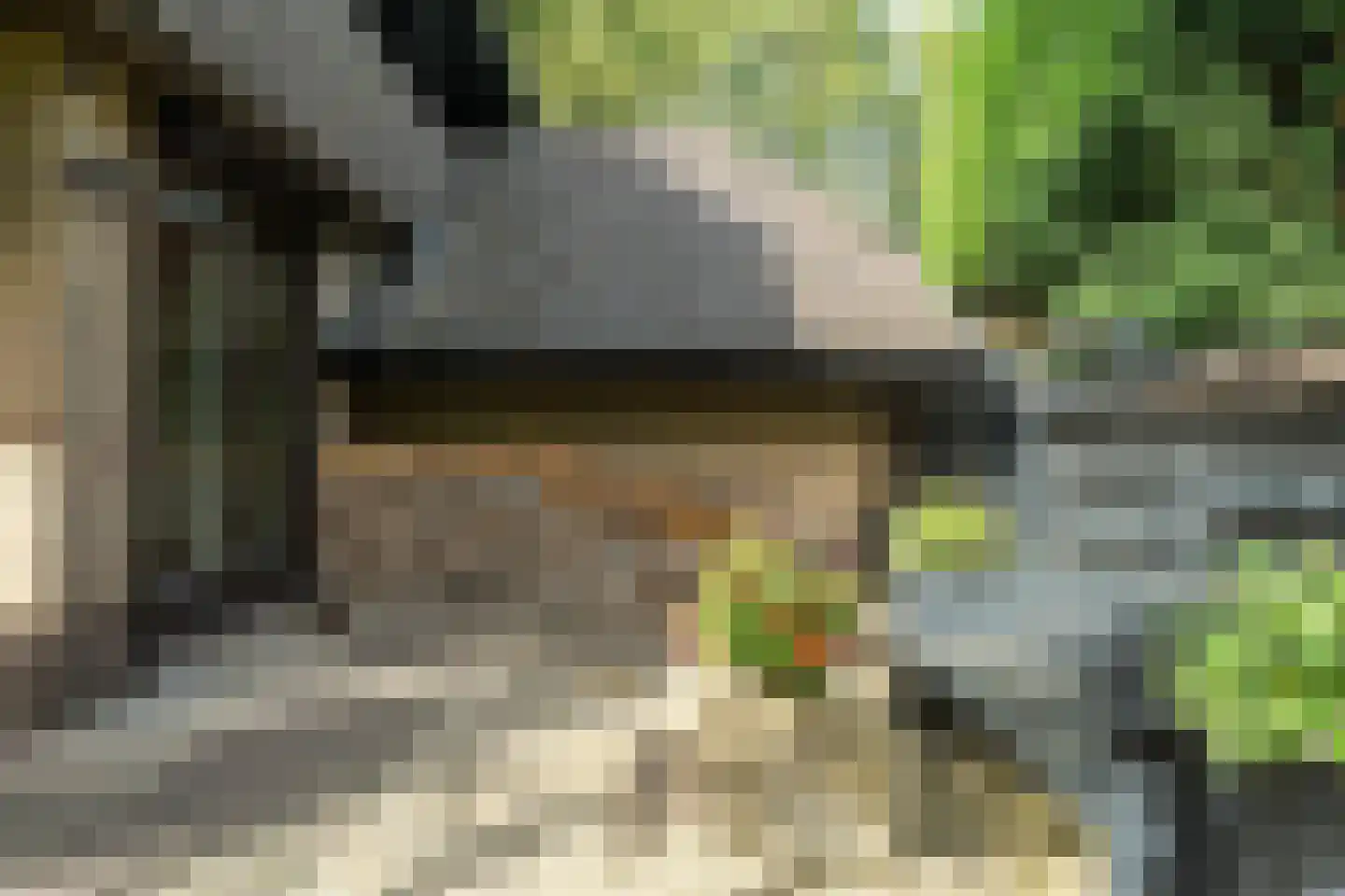 Staniastate 40 Leeuwarden thumbnail 71