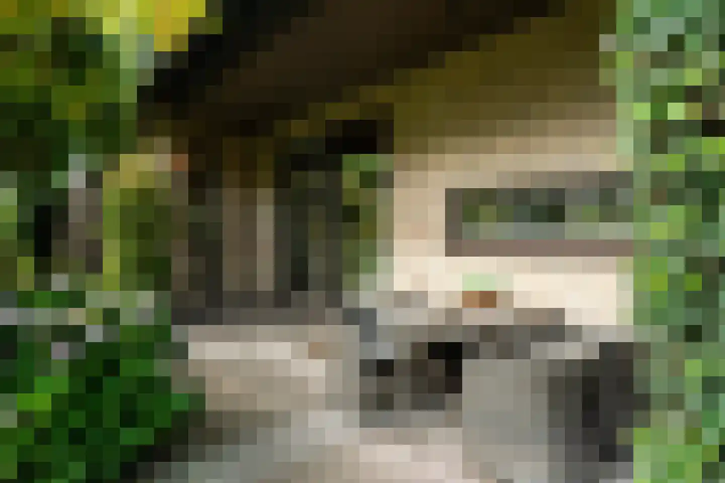 Staniastate 40 Leeuwarden thumbnail 72
