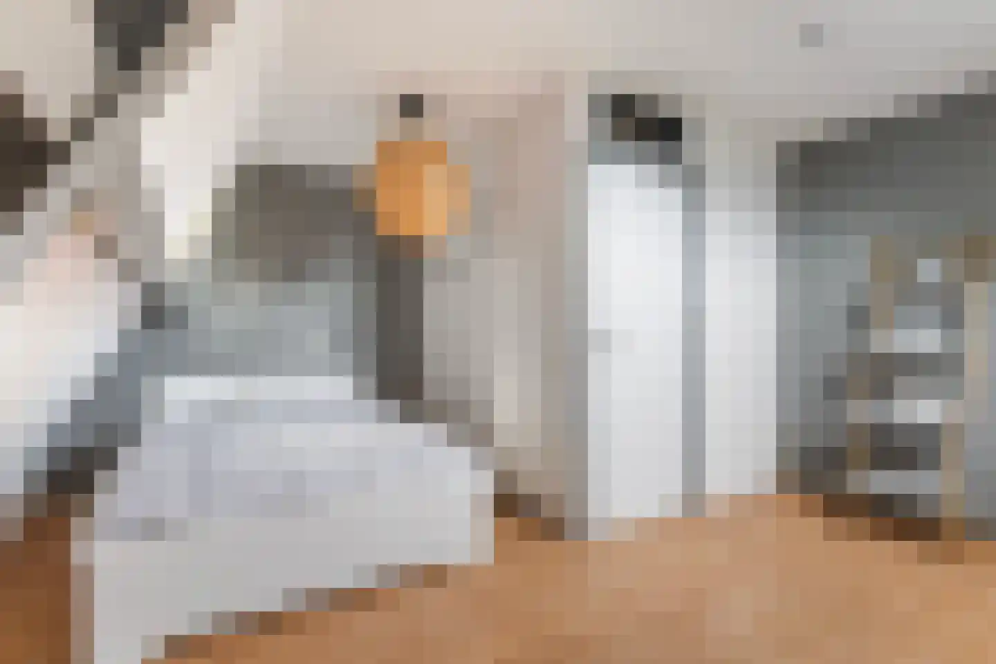 Staniastate 41 Leeuwarden thumbnail 30