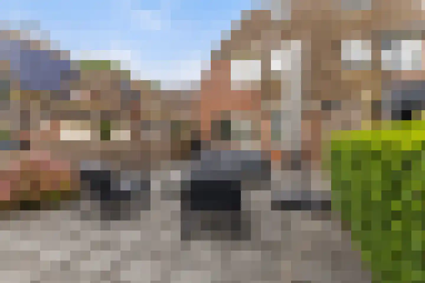 Staniastate 41 Leeuwarden thumbnail 34