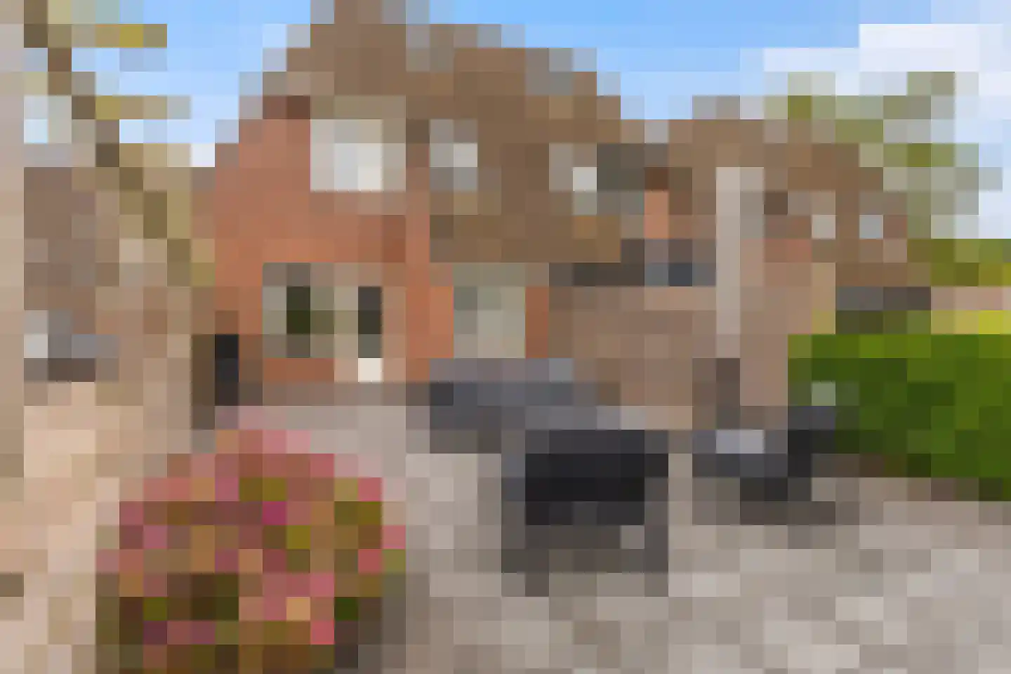 Staniastate 41 Leeuwarden thumbnail 35