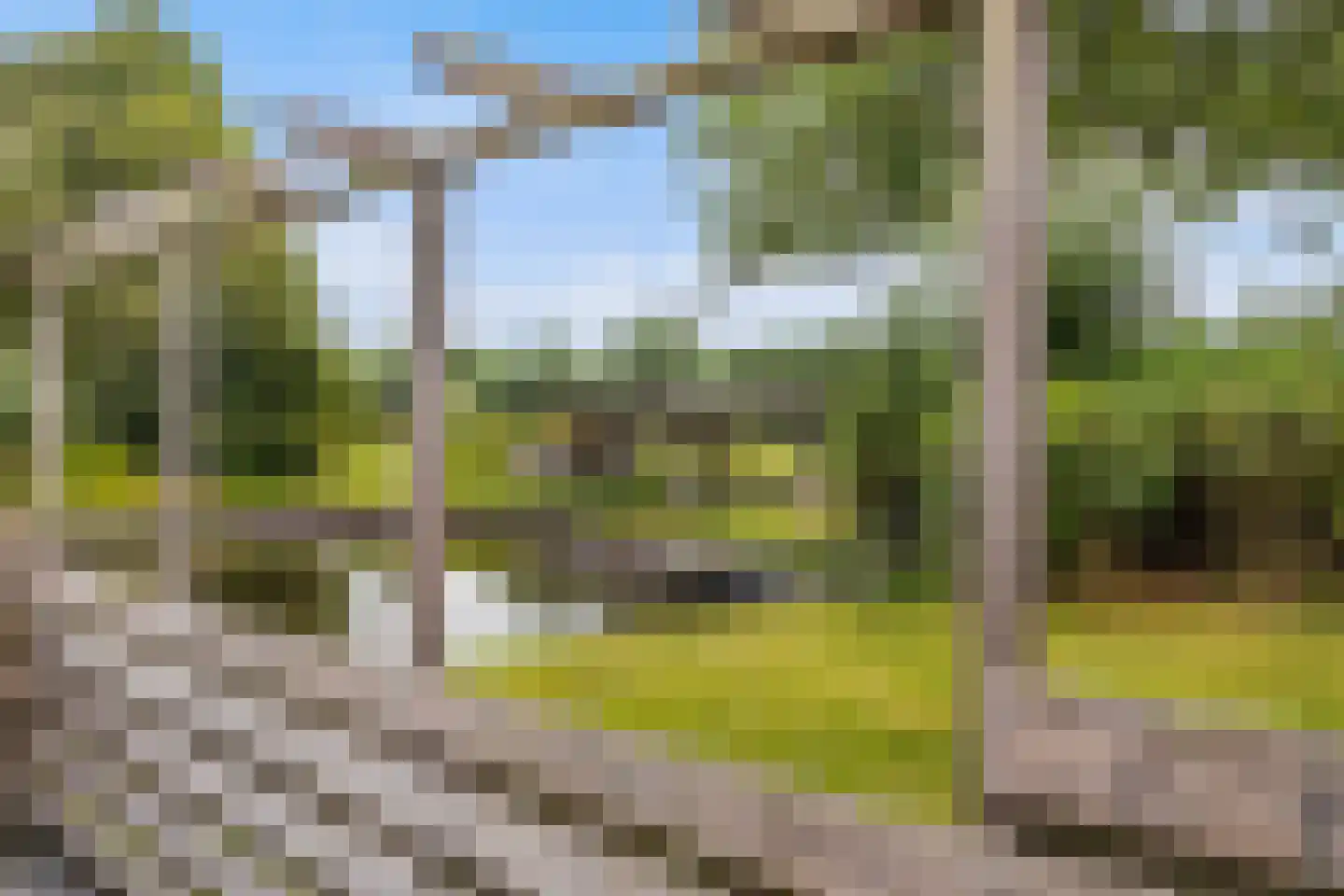 Staniastate 41 Leeuwarden thumbnail 37