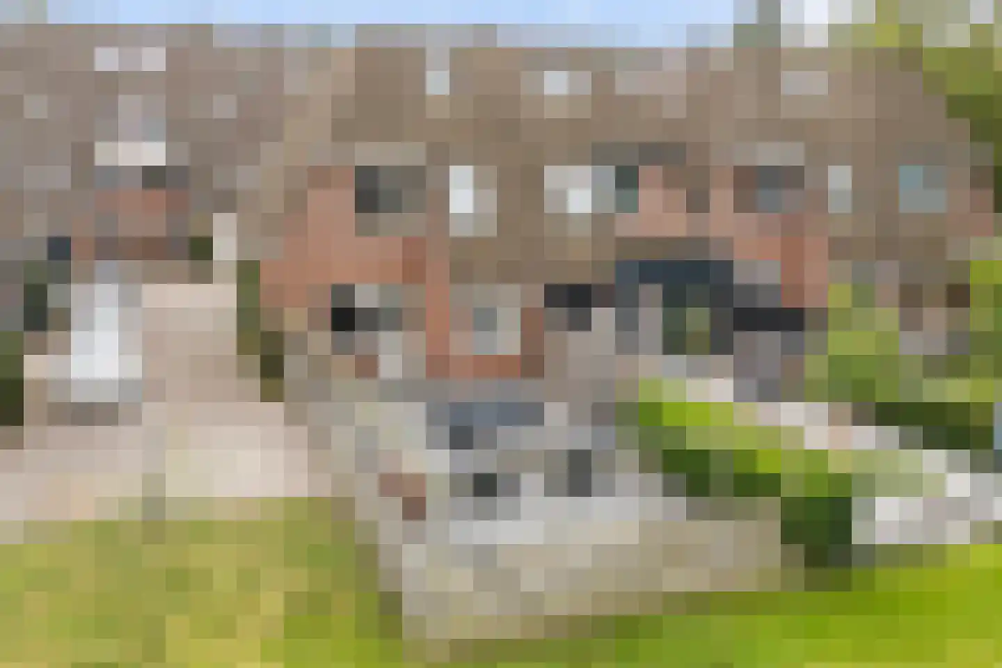 Staniastate 41 Leeuwarden thumbnail 4