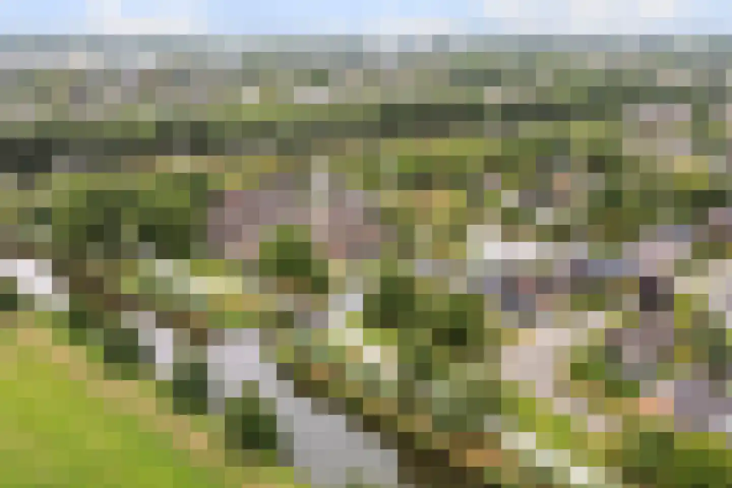 Staniastate 41 Leeuwarden thumbnail 41