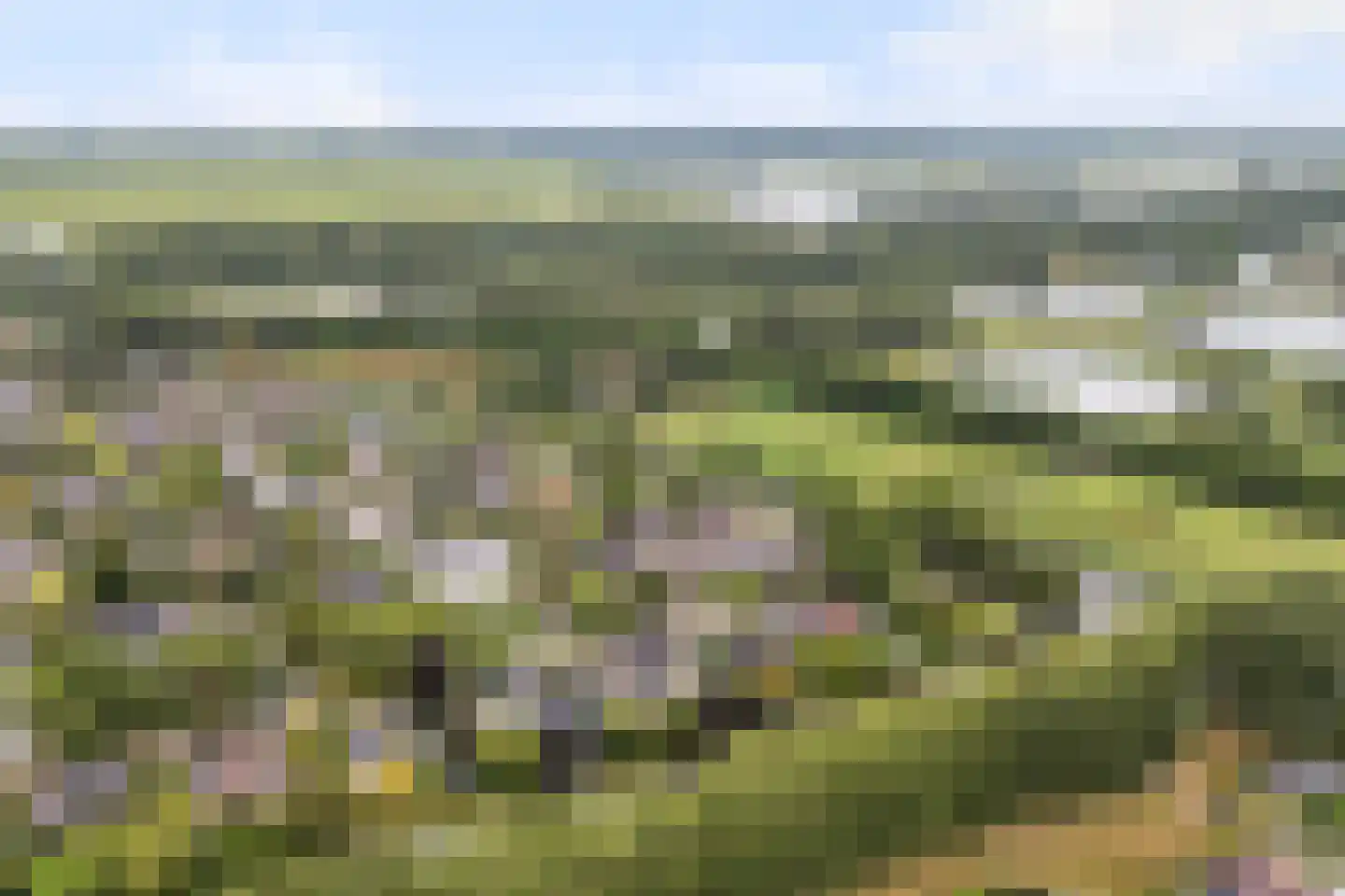 Staniastate 41 Leeuwarden thumbnail 43