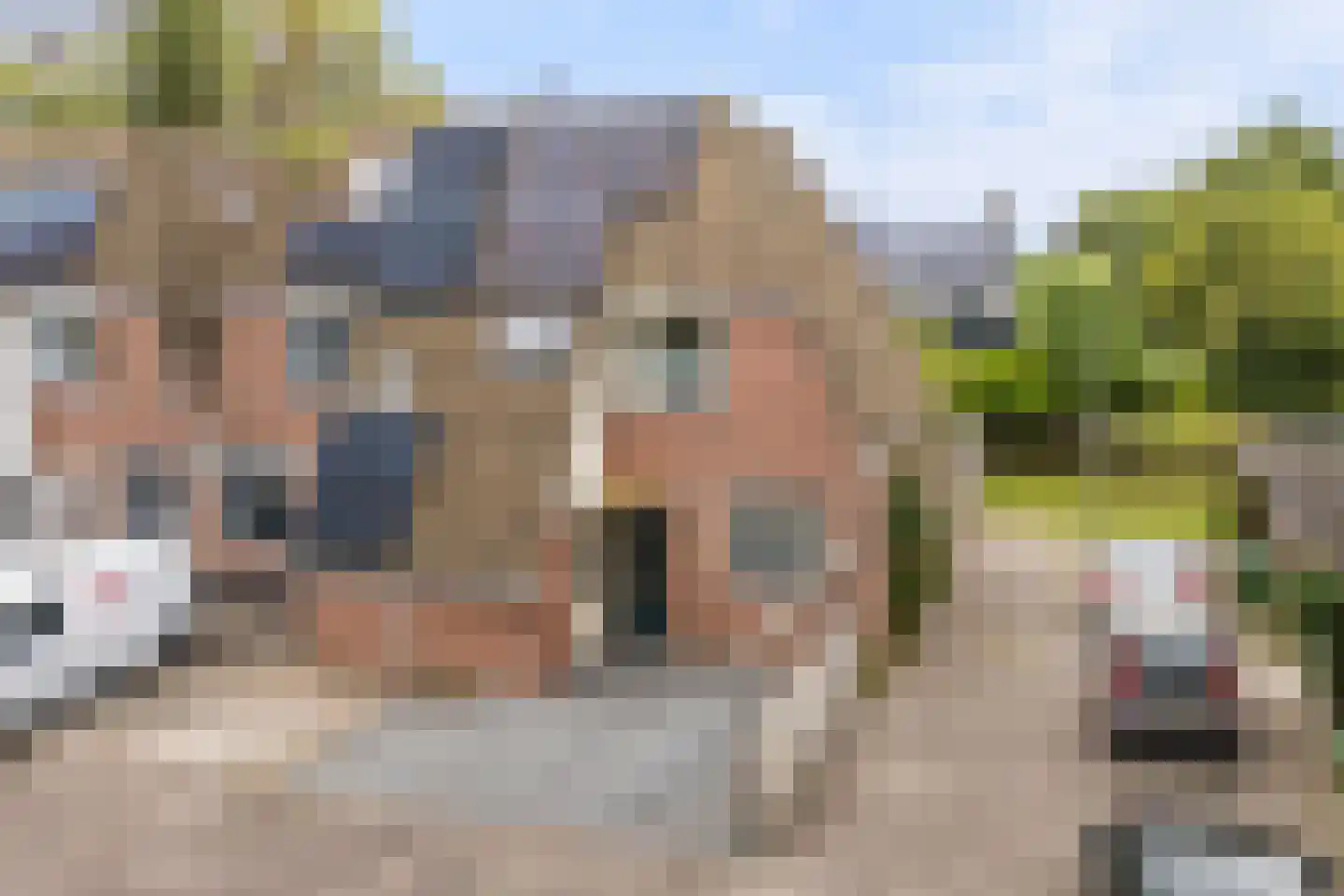 Staniastate 41 Leeuwarden thumbnail 6
