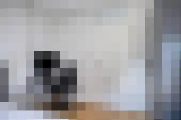 Staniastate 55 Leeuwarden thumbnail 33