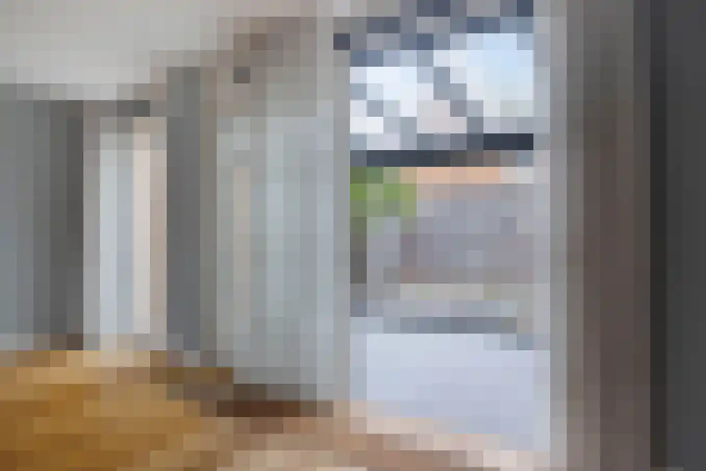 Stanislas 14 Hoofddorp thumbnail 11
