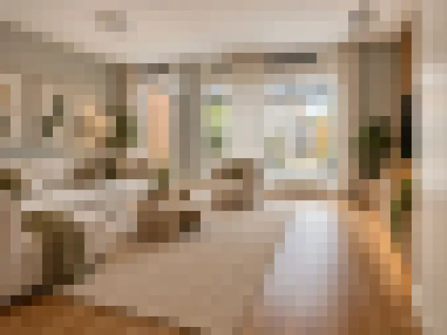 Stanislas 14 Hoofddorp thumbnail 8