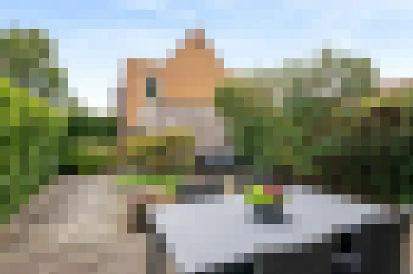 Stanislas 16 Hoofddorp thumbnail 32