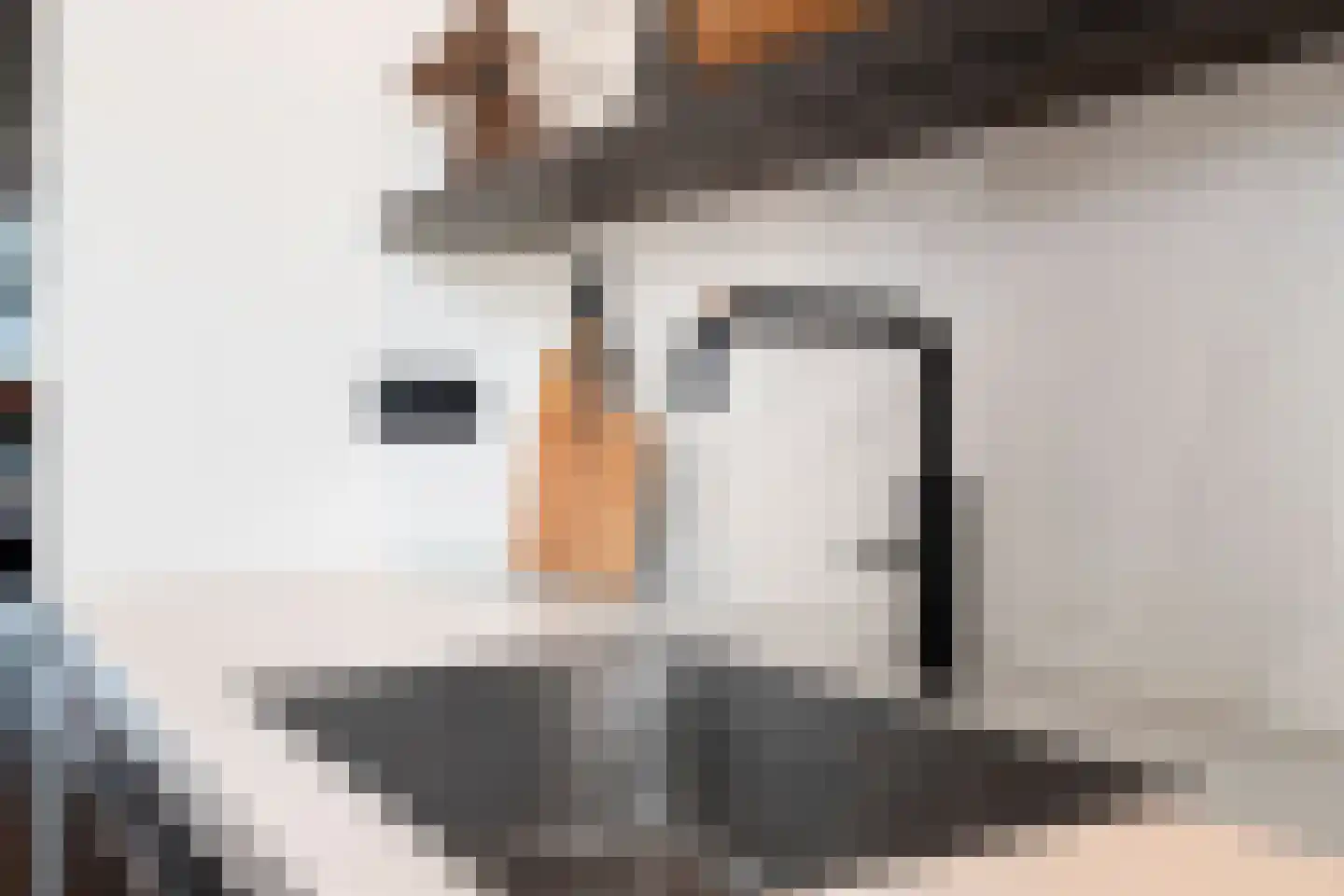 Stanislas 20 Hoofddorp thumbnail 12