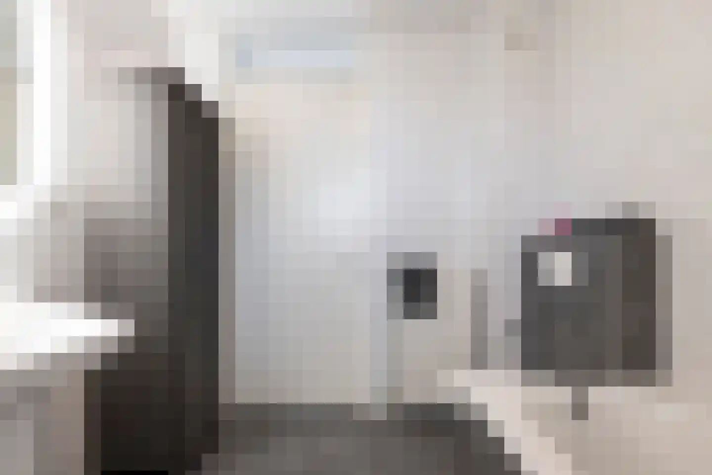 Stanislas 20 Hoofddorp thumbnail 26