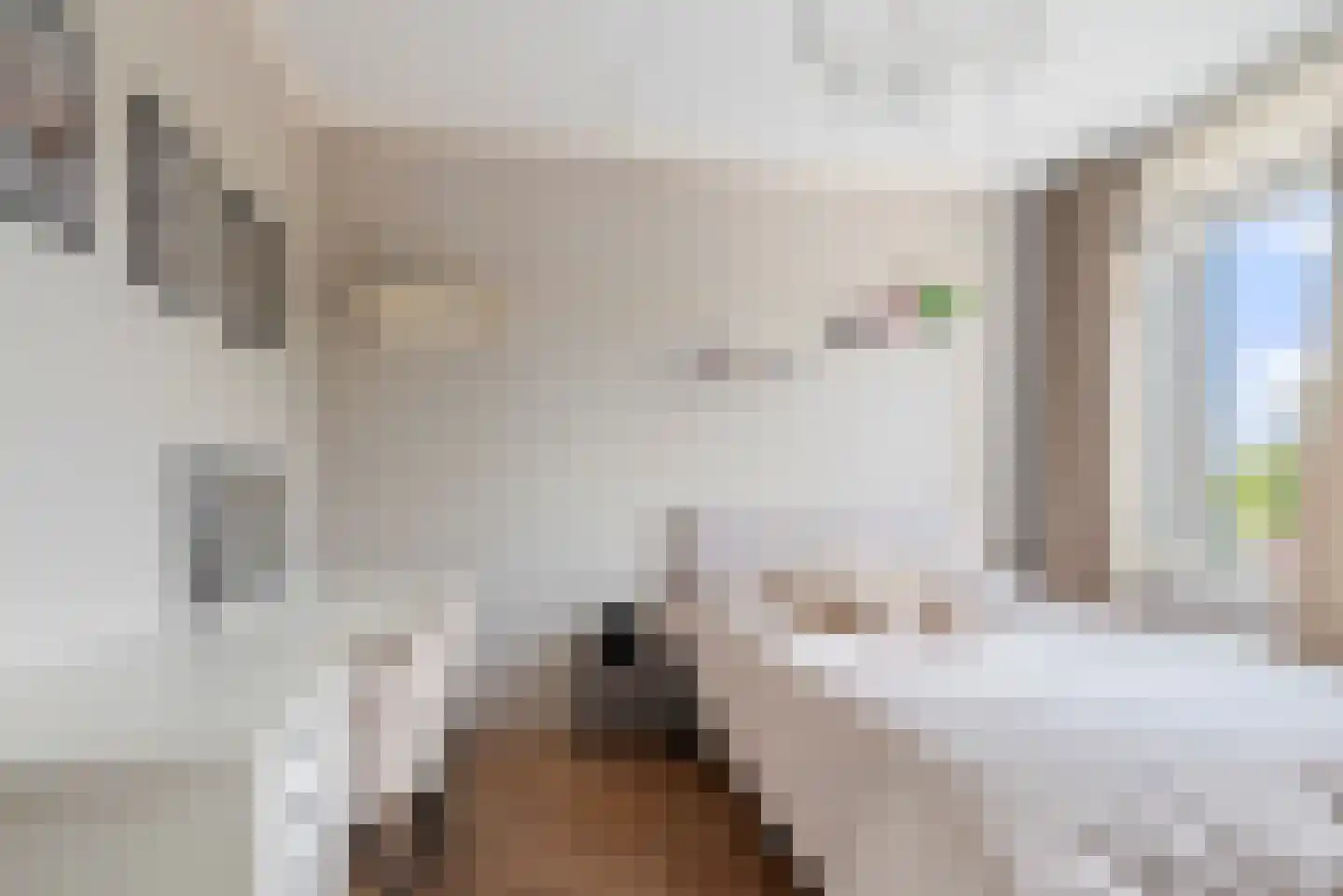 Stanislas 20 Hoofddorp thumbnail 29