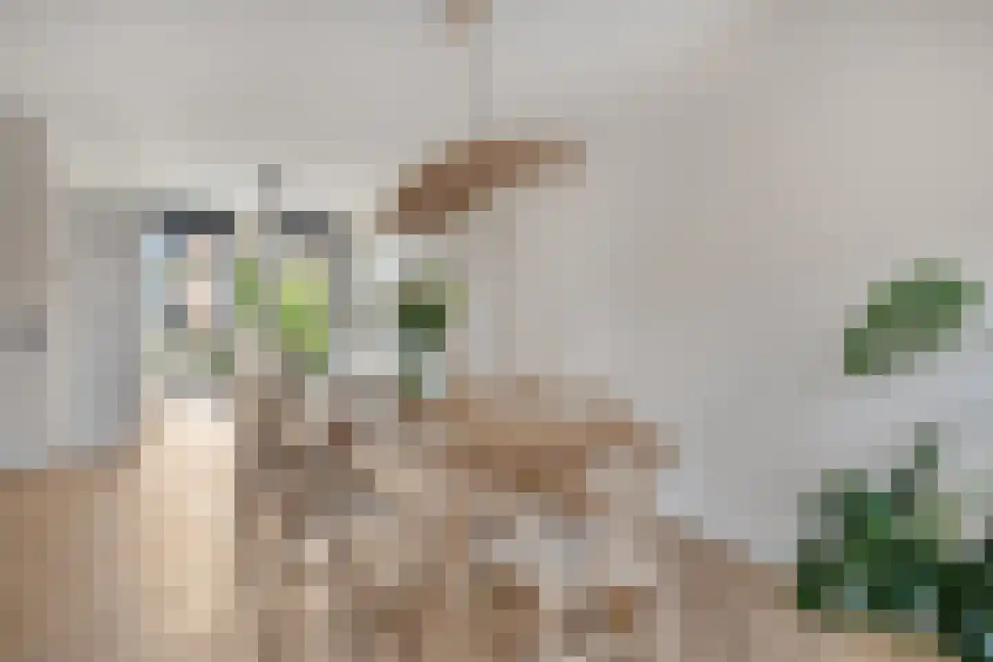 Stanislas 42 Hoofddorp thumbnail 11