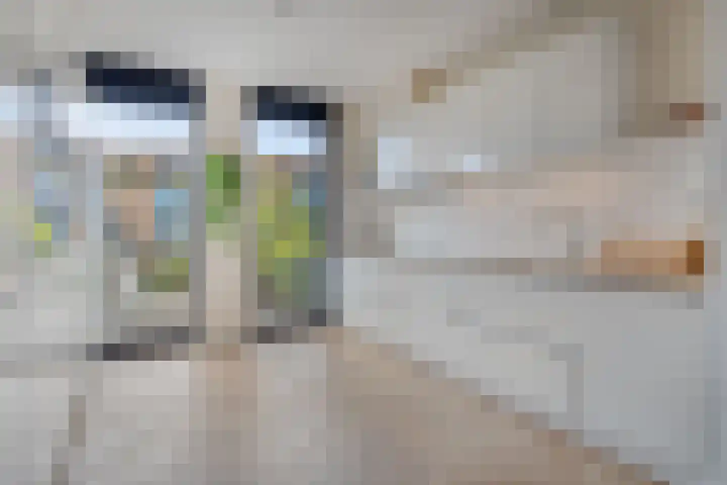 Stanislas 42 Hoofddorp thumbnail 12