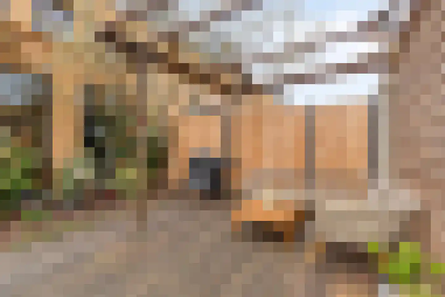 Stanislas 42 Hoofddorp thumbnail 28