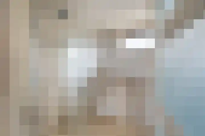 Stanleylaan 4 Gouda thumbnail 17