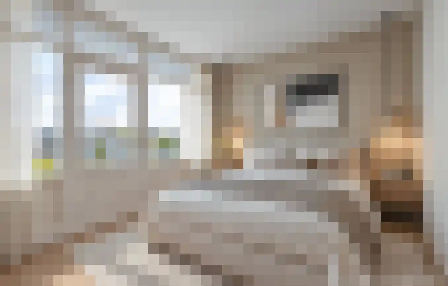 Stanleylaan 48 Utrecht thumbnail 29