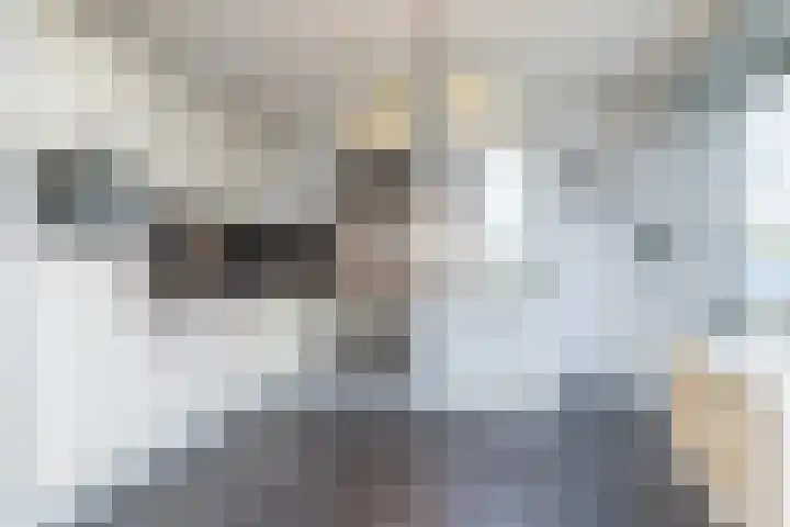 Stanleystraat 12 Heerlen thumbnail 5