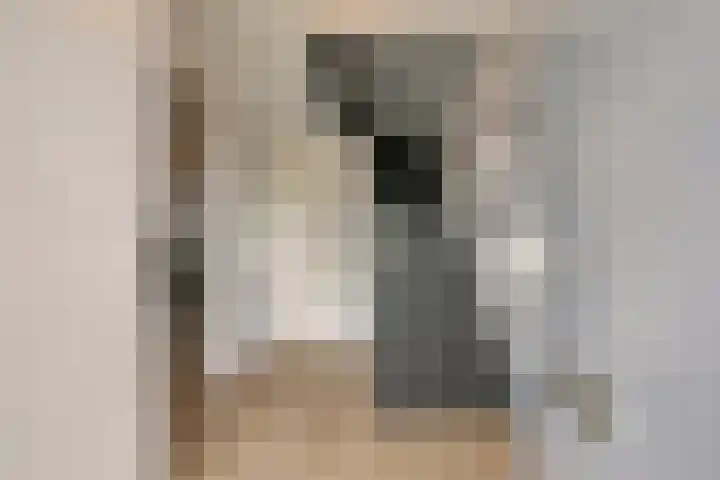 Stanleystraat 20 Hulst thumbnail 11