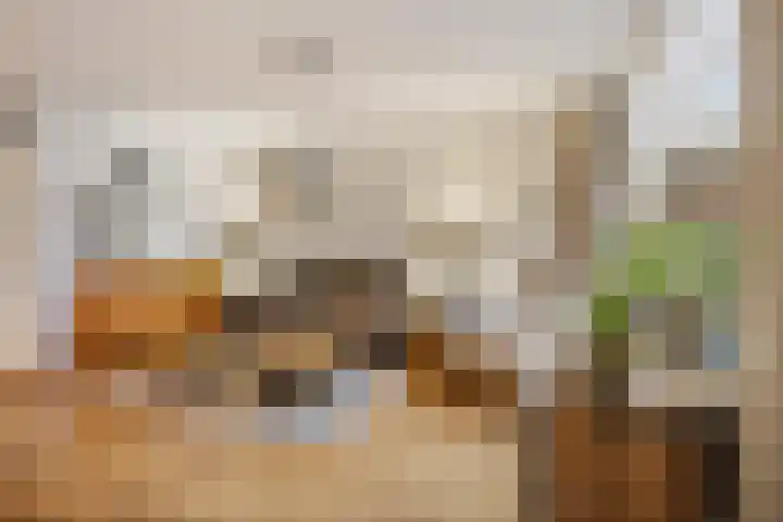 Stanleystraat 20 Hulst thumbnail 12