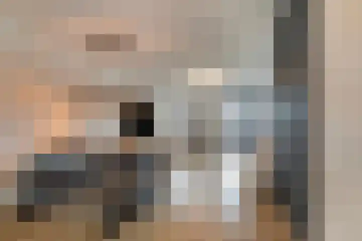 Stanleystraat 20 Hulst thumbnail 14