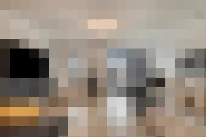 Stanleystraat 20 Hulst thumbnail 15