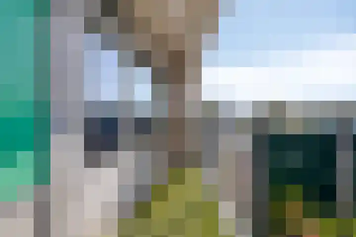 Stanleystraat 20 Hulst thumbnail 21