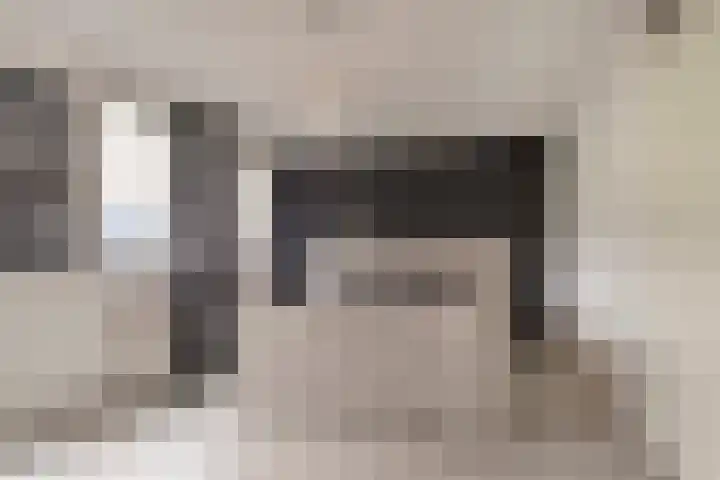 Stanleystraat 20 Hulst thumbnail 28