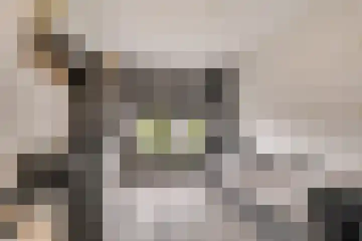 Stanleystraat 20 Hulst thumbnail 30