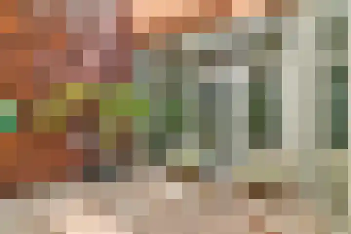 Stanleystraat 20 Hulst thumbnail 34