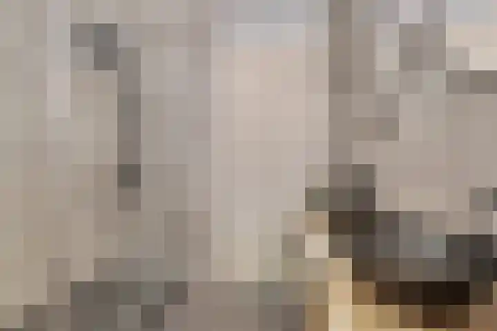 Stanleystraat 20 Hulst thumbnail 35