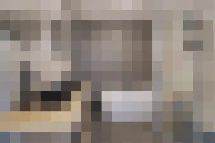 Stanleystraat 20 Hulst thumbnail 4