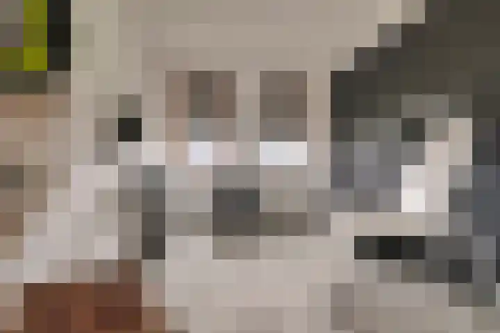 Stanleystraat 20 Hulst thumbnail 42