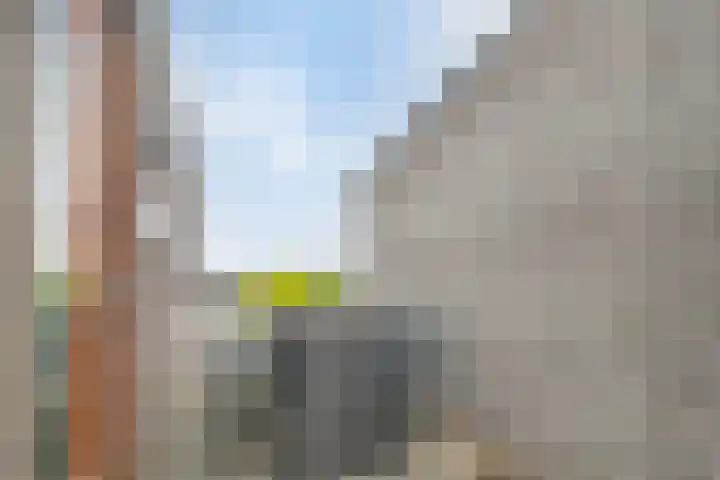 Stanleystraat 20 Hulst thumbnail 44