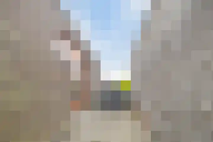 Stanleystraat 20 Hulst thumbnail 45