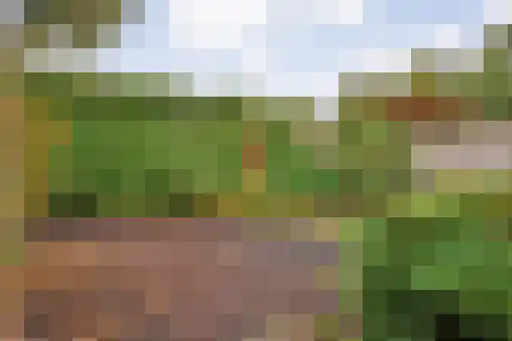 Stanleystraat 20 Hulst thumbnail 48
