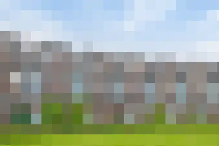 Stanleystraat 20 Hulst thumbnail 5