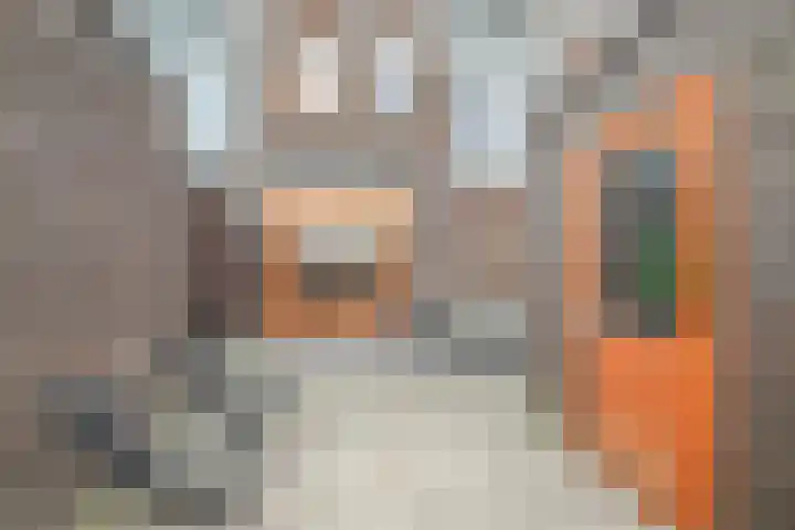 Stanleystraat 20 Hulst thumbnail 51