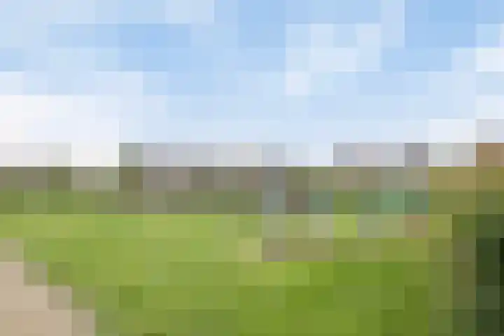 Stanleystraat 20 Hulst thumbnail 59