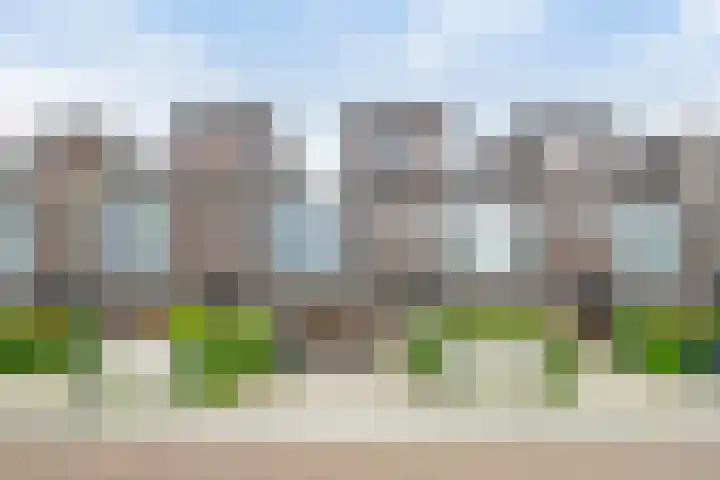 Stanleystraat 20 Hulst thumbnail 6