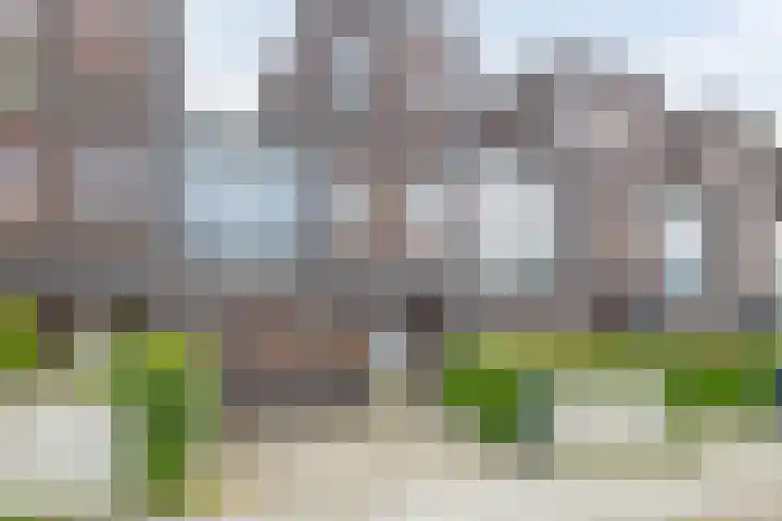 Stanleystraat 20 Hulst thumbnail 8