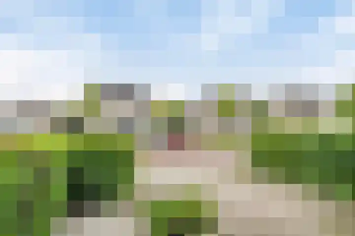Stanleystraat 20 Hulst thumbnail 9