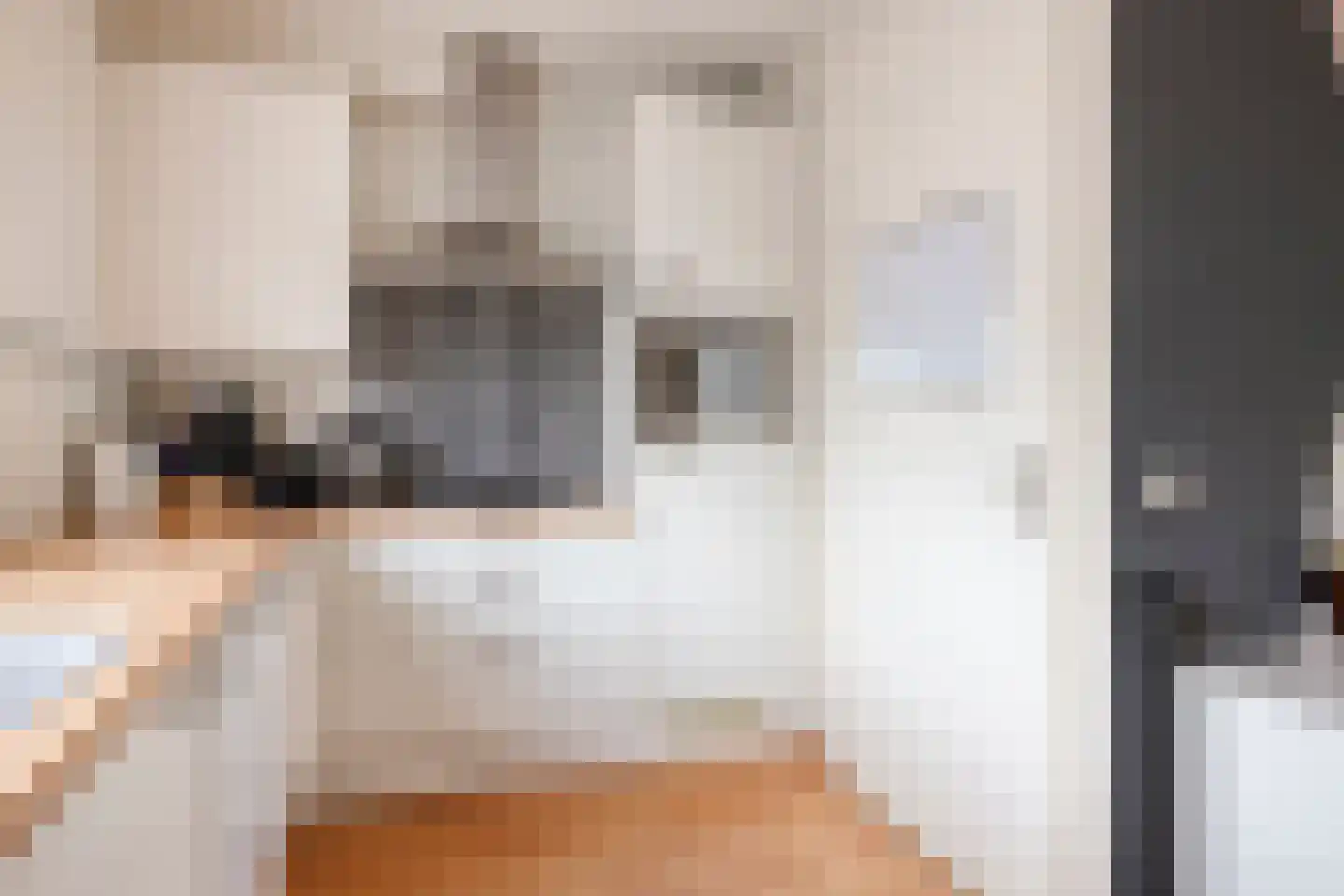 Stanleystraat 24 Hulst thumbnail 13