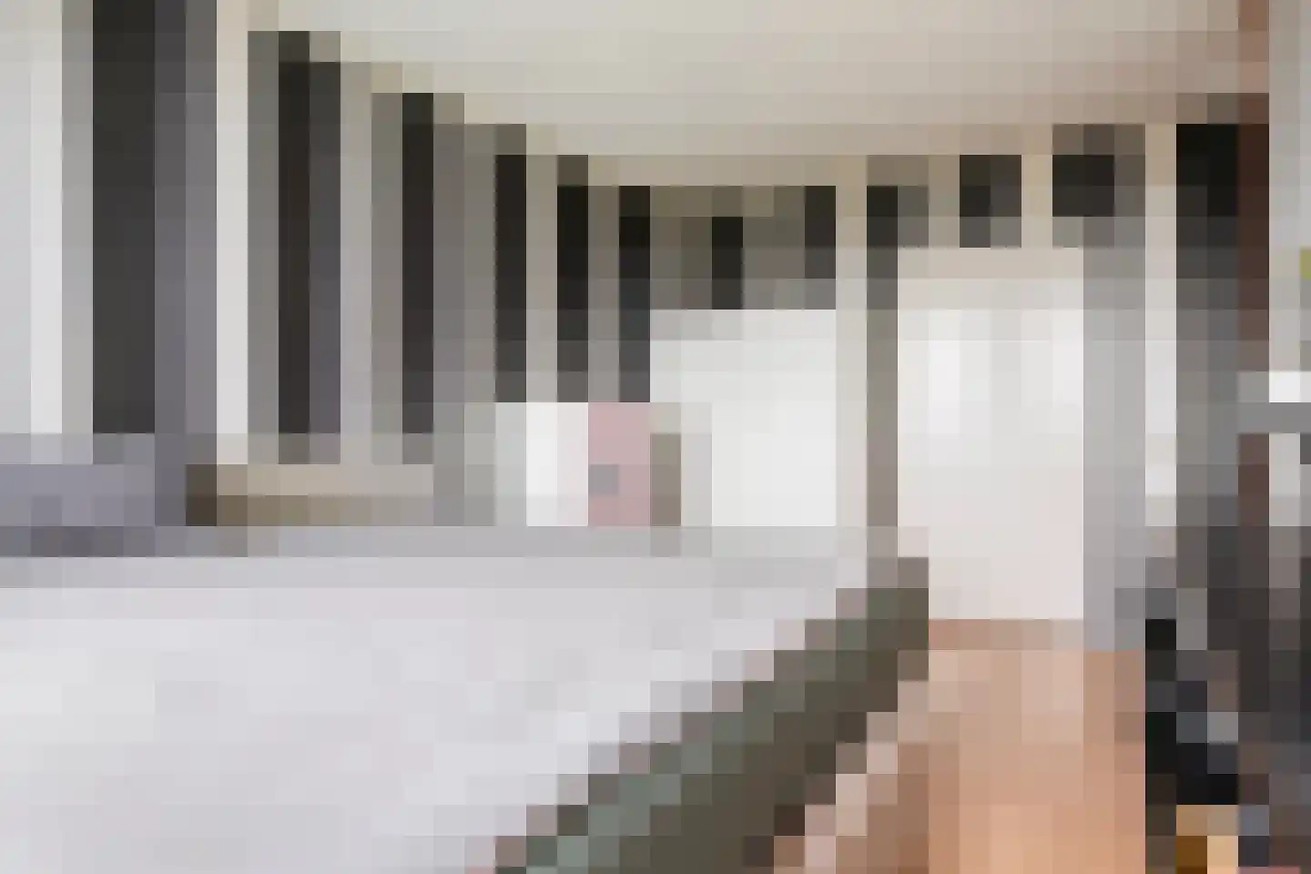 Stanleystraat 24 Hulst thumbnail 21