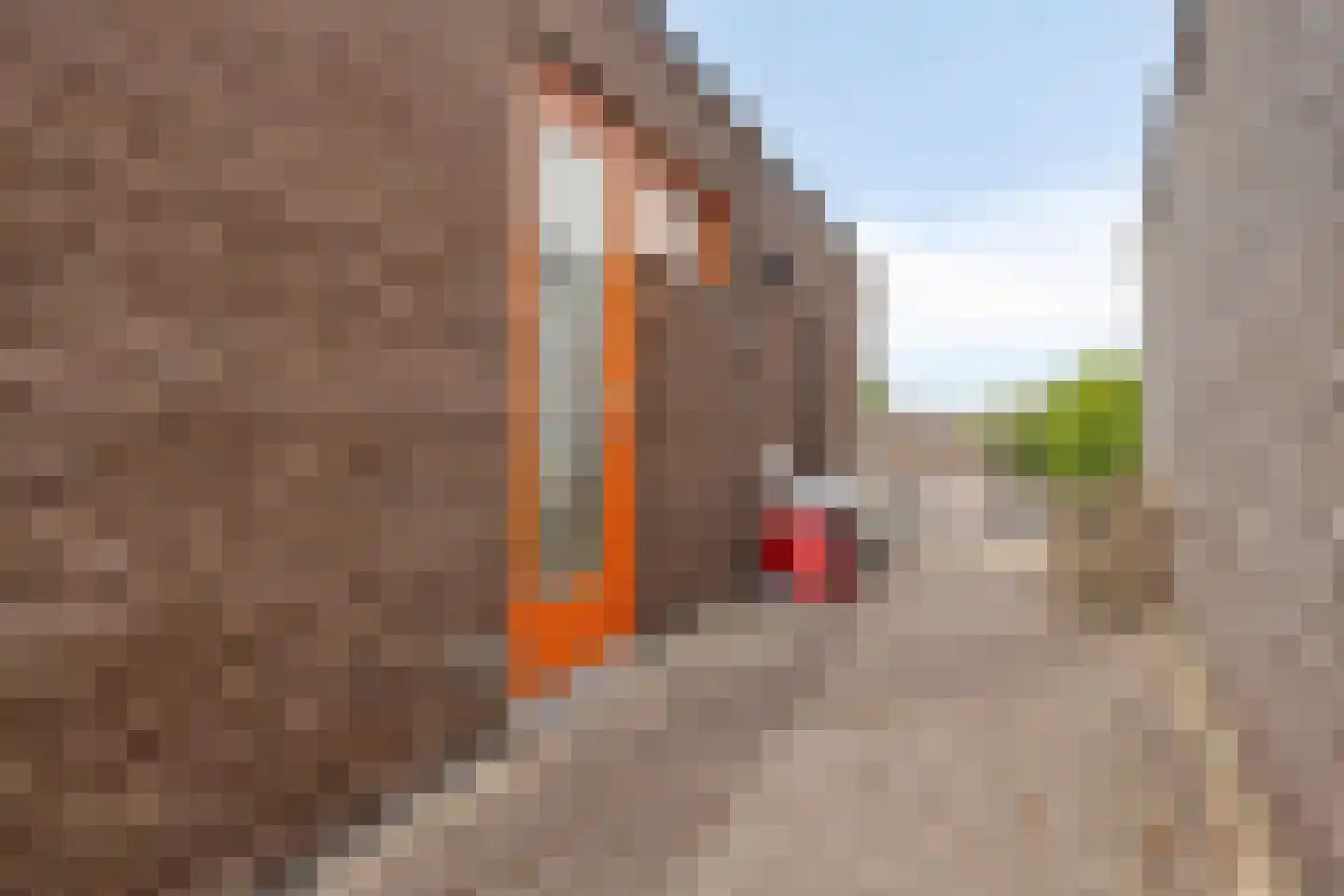 Stanleystraat 24 Hulst thumbnail 24