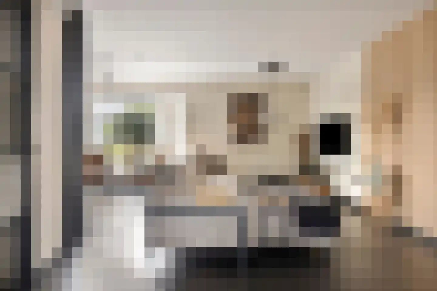 Stanleystraat 25 Hulst thumbnail 10